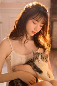 陈斌高婉君桃色仕途小说全文免费阅读
