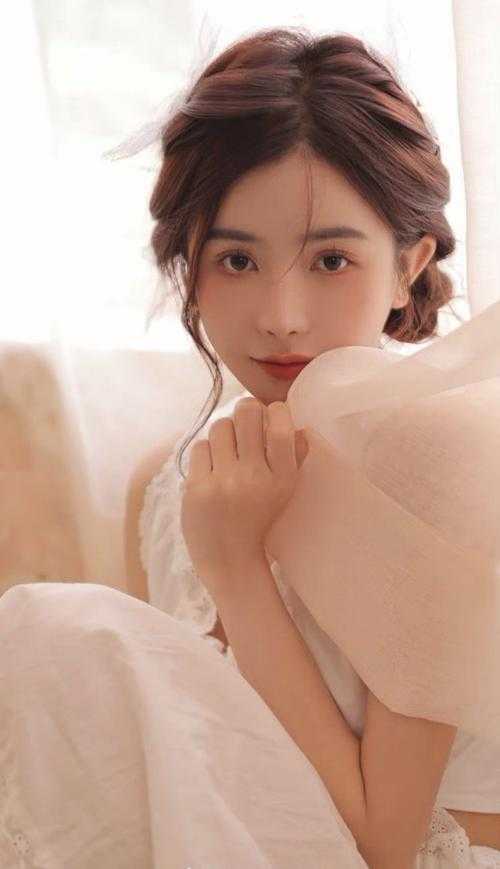 陆宴州秦婉卿的小说卿卿知我意免费阅读
