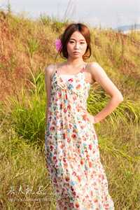 爱如花落无声林月瑶沈寒书结局+番外小说