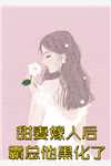 林建忠宋朝阳的小说滔天富贵阅读