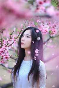 逼我当富少血包后，装穷女友后悔了郑津琳林帆完结版小说