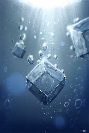 谁记人间雪满头林双意沈铭礼