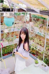 七年妾李明瑛叶卿小说