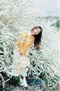 兰香如梦全文+番外