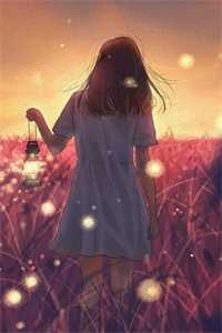 阿知韩衍写的小说白胖宫女，误惹君心