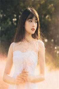 程宇赫盛知夏写的小说又恰枯木逢冬
