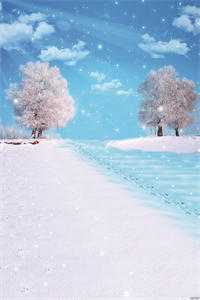 姐姐别乱来，我刚下山杨凡吴雪兰小说