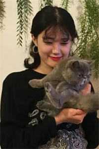 重生八零年代，接盘后的我去赶山赵勇勇子完结版小说