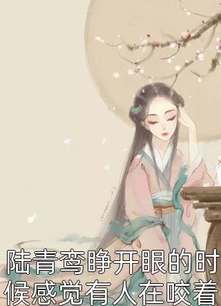 过尽千帆仍有梦小说沈青鸢冷宴臣