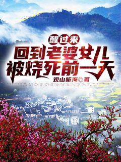 明珠王淑芬婆婆和阿联酋王子私奔了小说