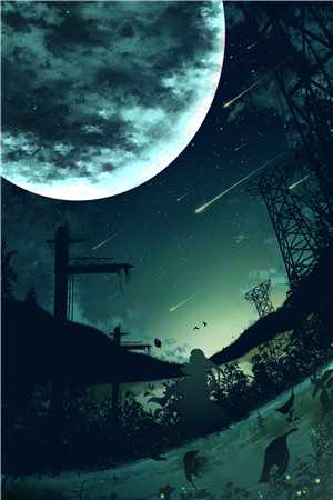 春夜绵长，花枝满墙完结