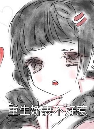 老婆收心后，我不爱了后续+完结
