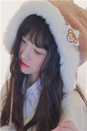 清风思明月免费看