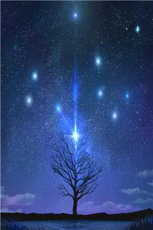 贺言铮铮儿写的小说耿耿星河欲曙天