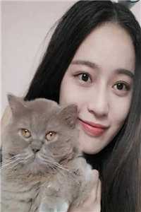 宋远顾时语写的小说娶了美女总裁后，我的人生开挂了