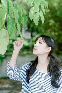 我不舔后，太子爷跪着求我回头无弹窗