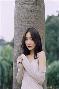 灿烂不过世间花小说沈绾绾司向晨完结版