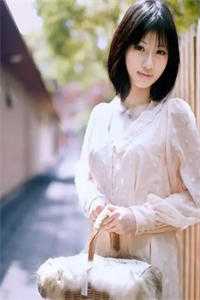 柳如烟陈平安的小说村官桃花途小说阅读