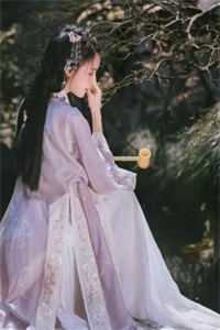 曾拥清风见明月免费看