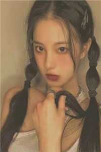 梨花月落情薄，迟爱不晚全文淑妃张贵妃