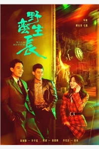 恨海情天，过眼云烟小说林海涛宋欣完结版