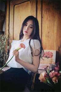 夫君高中探花后，我却悄然离开全文