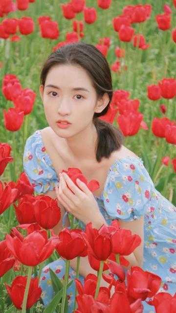 真千金重生，爱情事业两手抓热门小说宋染顾远霆