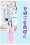 十年将爱意冰封已完结版