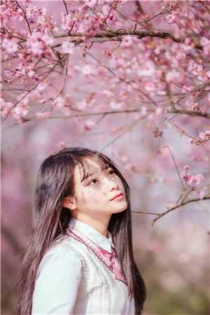 我爸让我给私生子让位结局