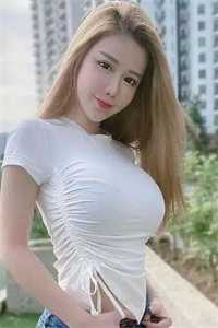 雁不回时爆火全网