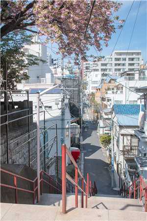 再见不如不见最新