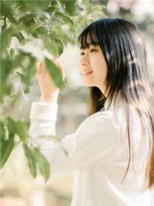 重生到闺蜜送我豪宅当天全文柳如烟婉婉