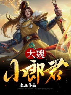 沈少别虐了，再虐变小三小说结局