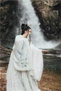 岁岁不见海棠春完整