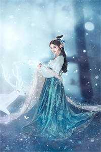 雾中无心小说谢少羽林雪儿完结版
