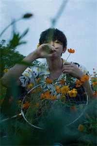 君心如竹，此生荒芜小说全文免费阅读