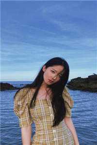 洛希极限小说