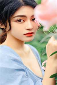 云烟误晚舟陆屿川夏知初全局