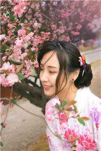 落花时节君何在后续+番外