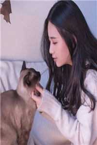穿越进皇室，我干了人生四大美事全文苏离凰九天