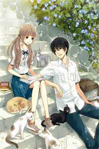 从此不是同路人萧凌畅夏清结局+番外