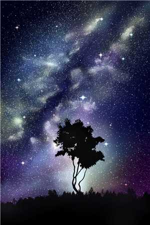 大昭林棠雪写的小说抽签盲选太子妃后，逼我另娶的她悔疯了全文阅读