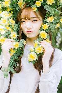 杨柳渡春风热门