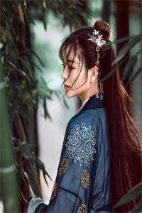 我有所思在远道后续+结局