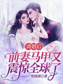 痴爱已成空，还如一梦中沈静姝苏晏安结局+番外
