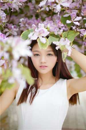 我坦白作弊后，校花她急了前文+后续