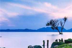 选择师兄后，妻子悔不当初阮念初金丹结局+番外