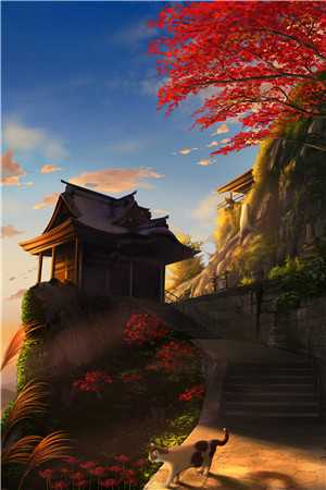 兰因絮果，爱恨成空广告