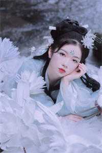 一朝春尽，花落人亡贺西临温苒前文+后续