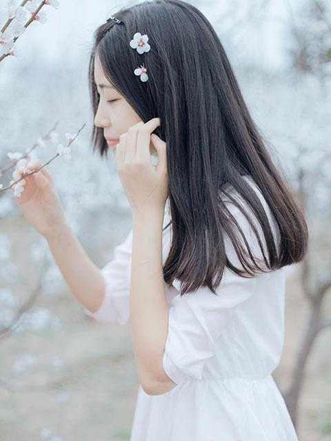 从此烟雨落金城小说